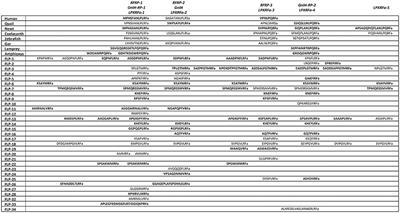 Comparative and Evolutionary Aspects of Gonadotropin-Inhibitory Hormone and FMRFamide-Like Peptide Systems